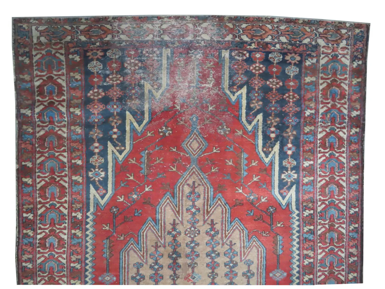 Noubaran Persian - Image 2