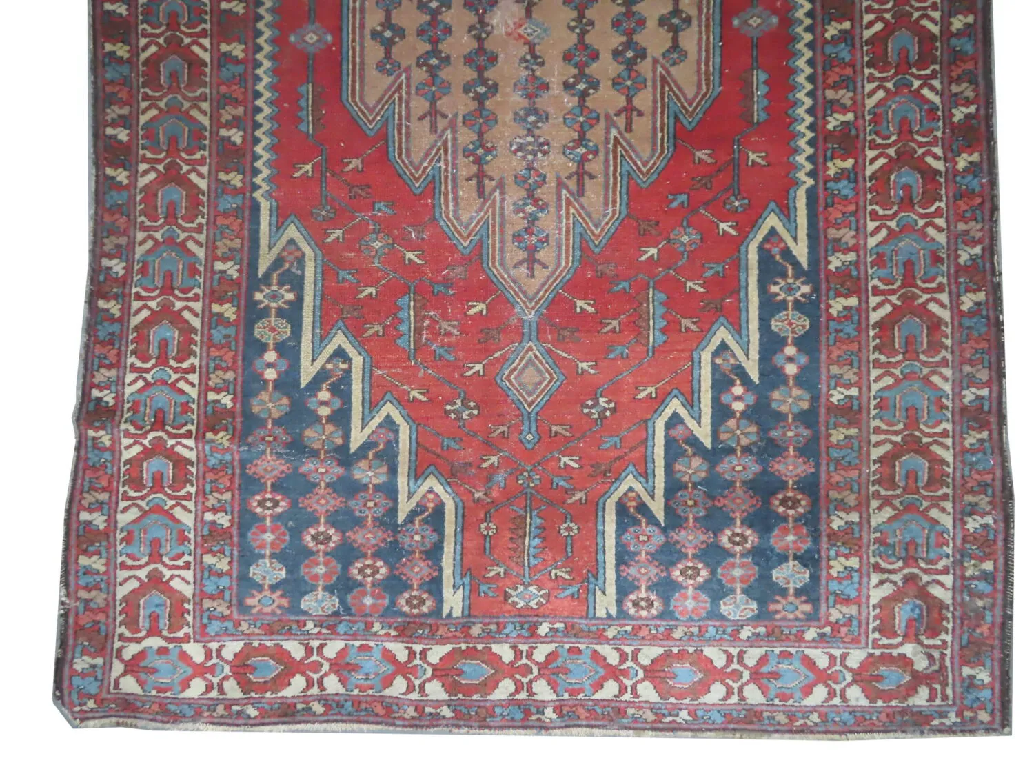 Noubaran Persian - Image 3