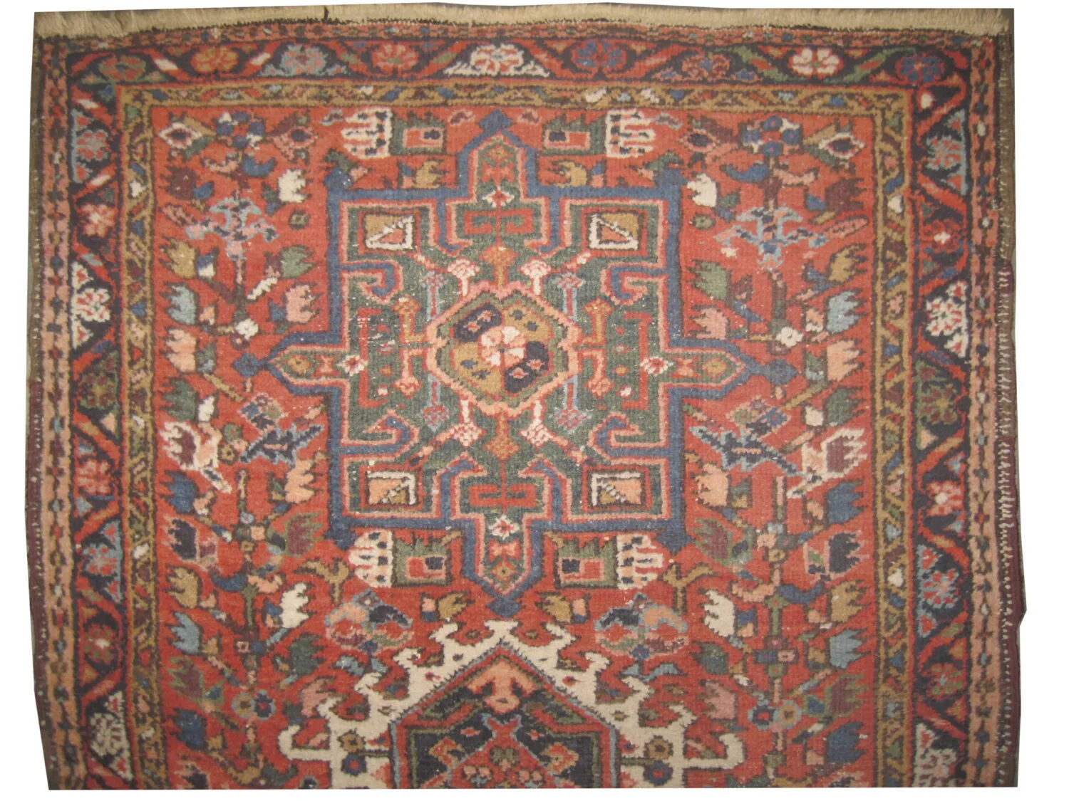 Karadja Persian - Image 2
