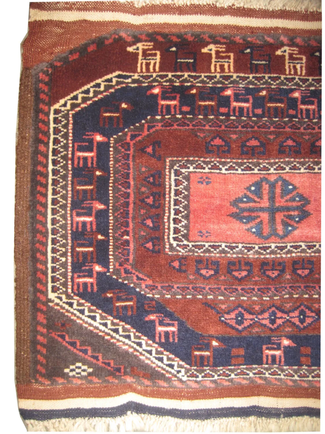 Horse Cover Belutsch Persian - Image 2