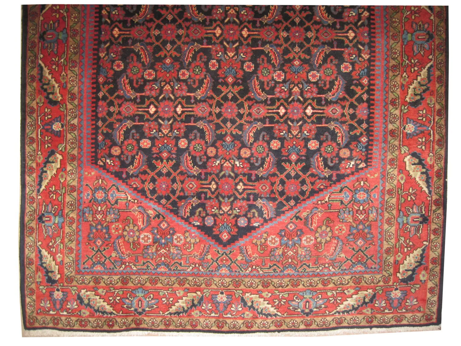 Sarouk Persian - Image 2