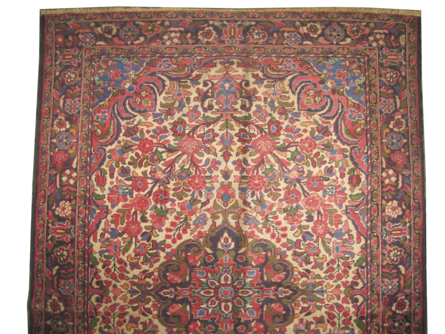 Porchalo Persian - Image 2