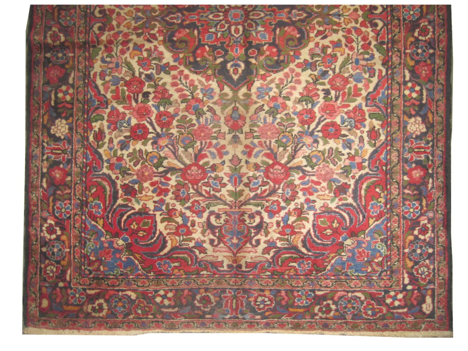 Porchalo Persian - Image 3