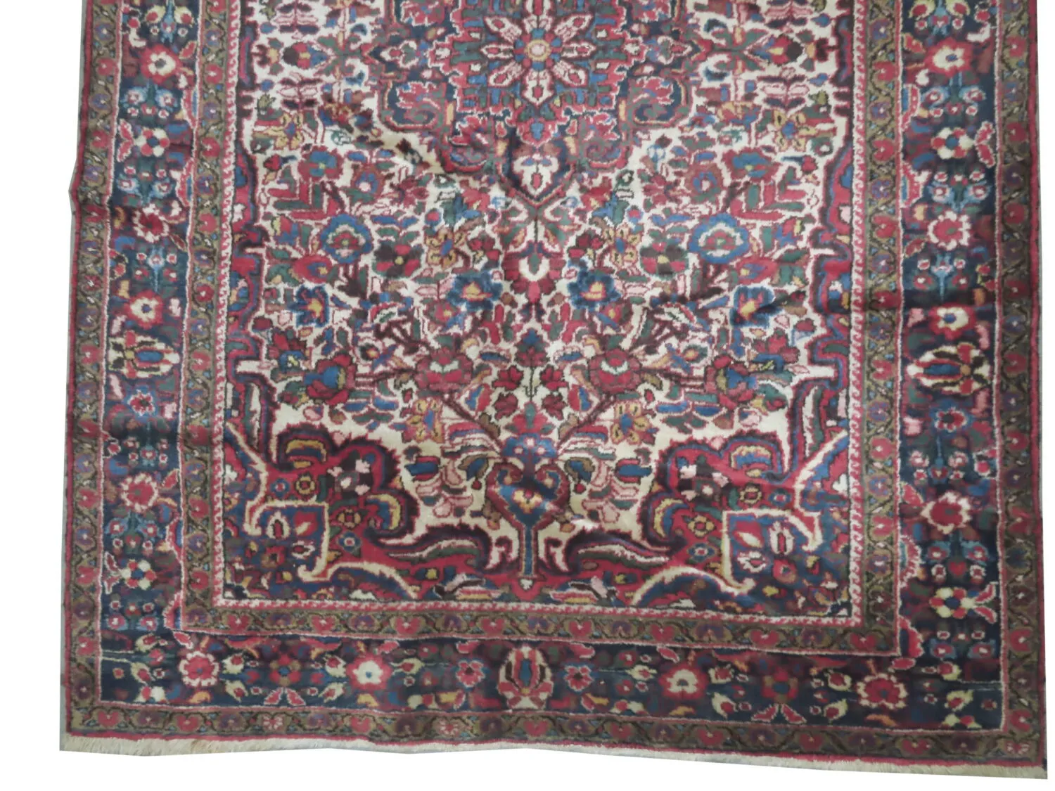Porchalo Persian - Image 3