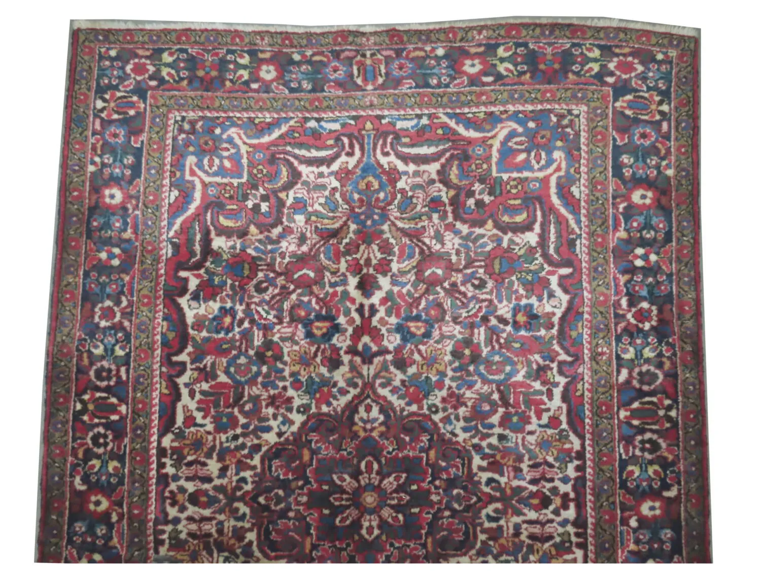 Porchalo Persian - Image 2