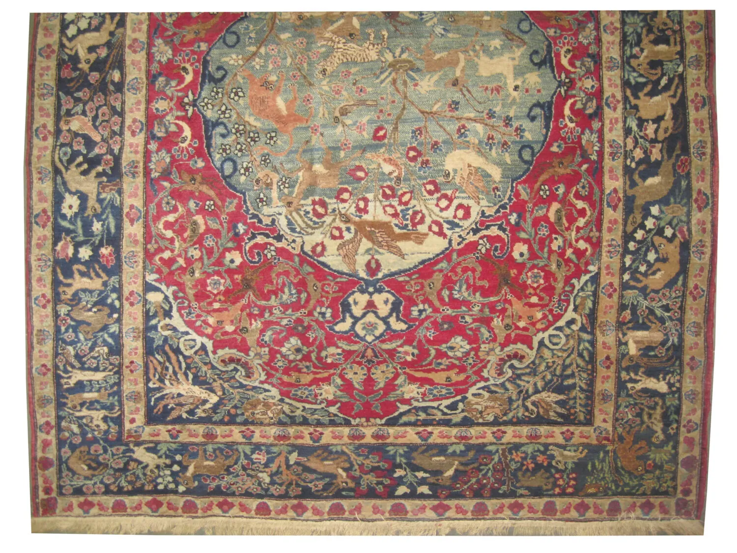 Tabriz Persian - Image 3
