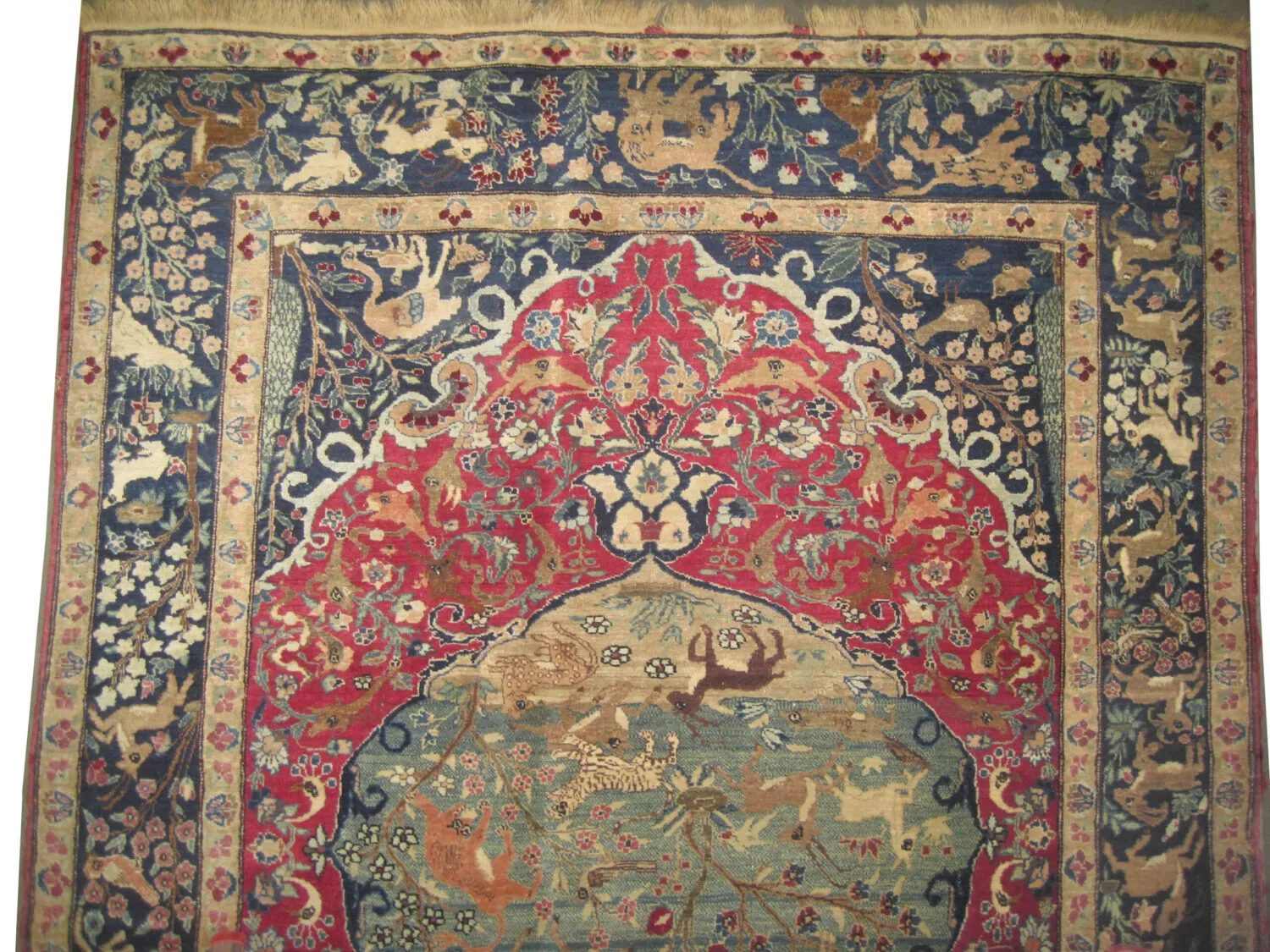 Tabriz Persian - Image 2