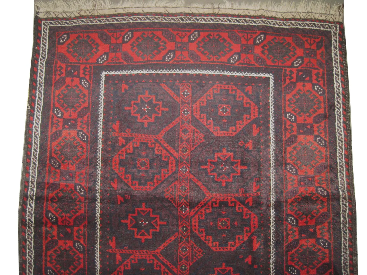 Belutsch Persian - Image 2