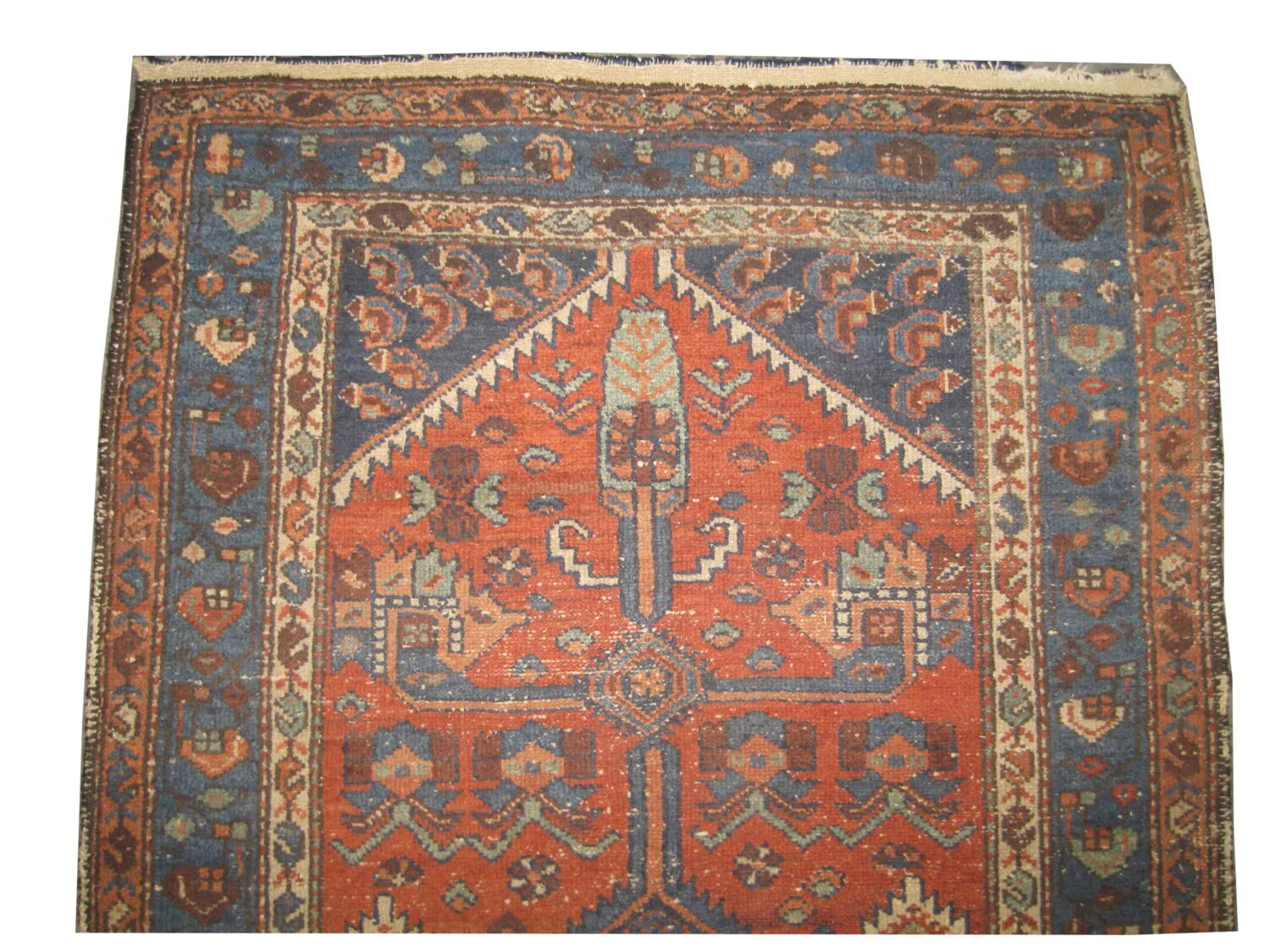 Hamadan Persian - Image 3
