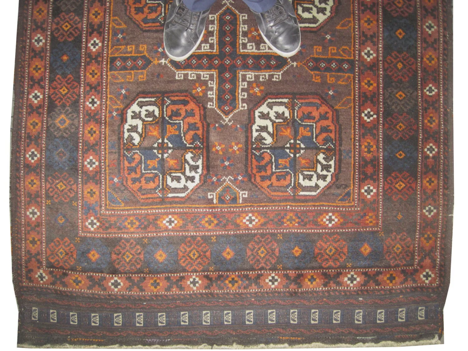 Belutsch Persian - Image 2