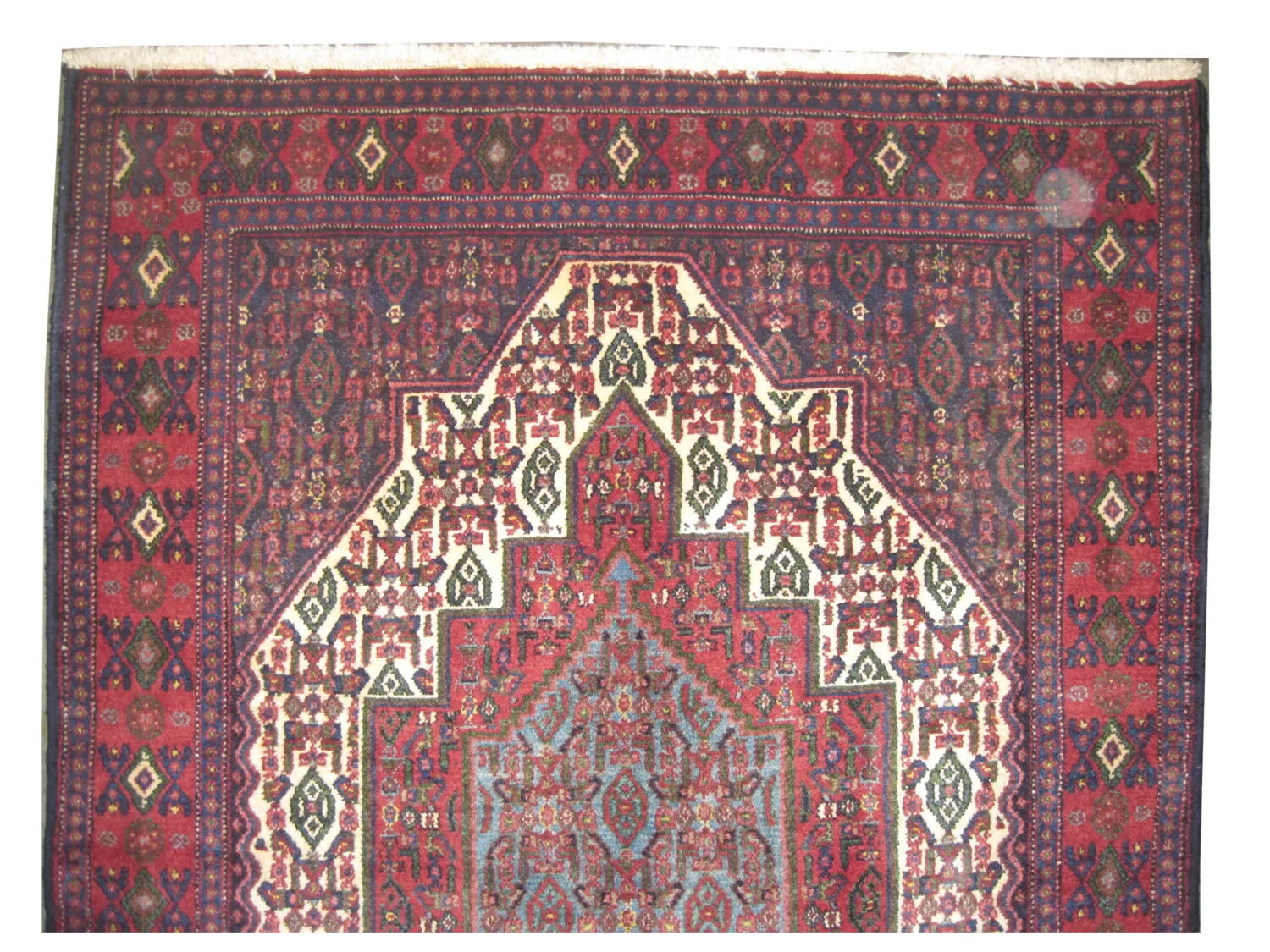 Senneh Persian - Image 2