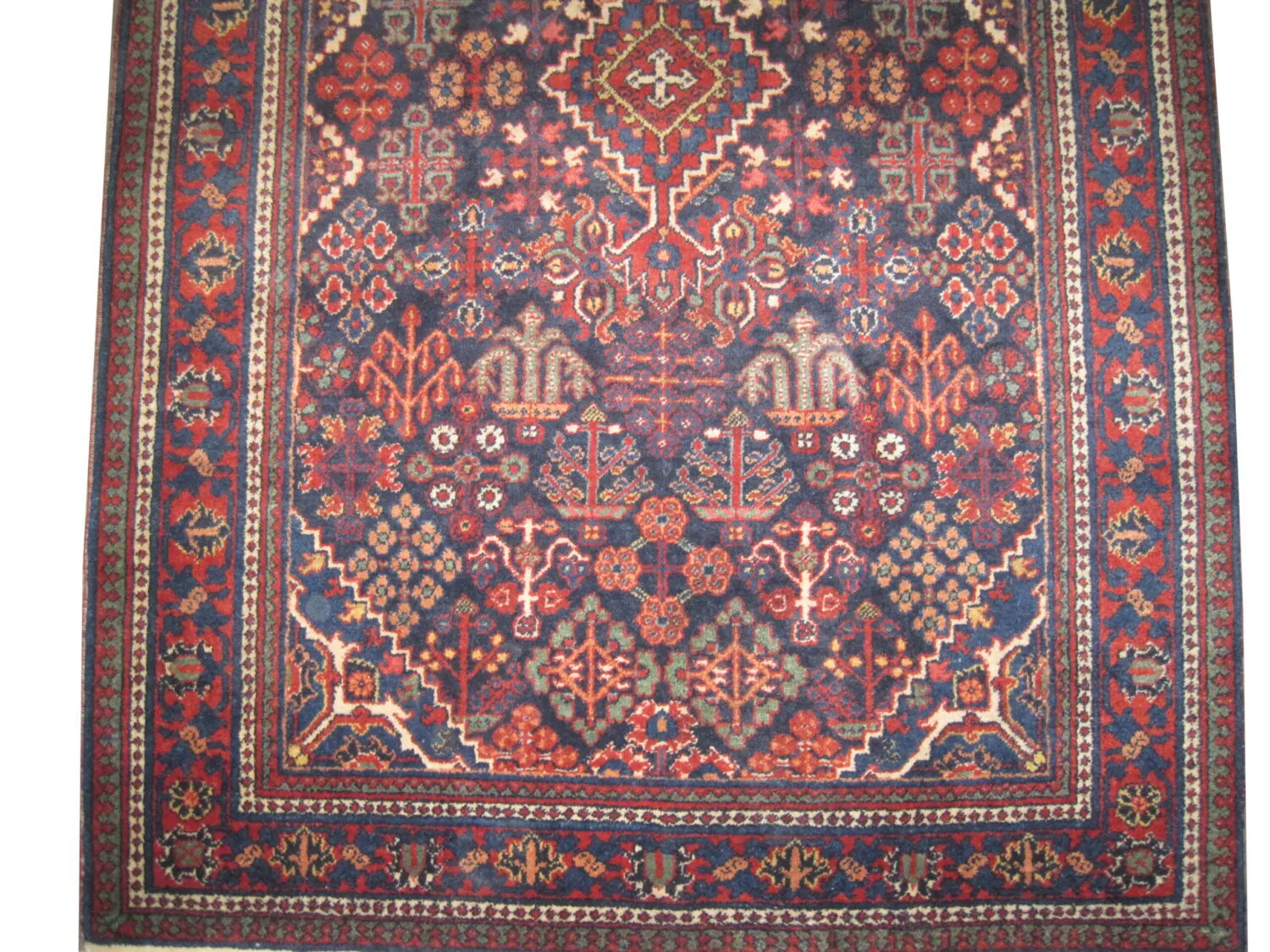 Joshagan Persian - Image 3