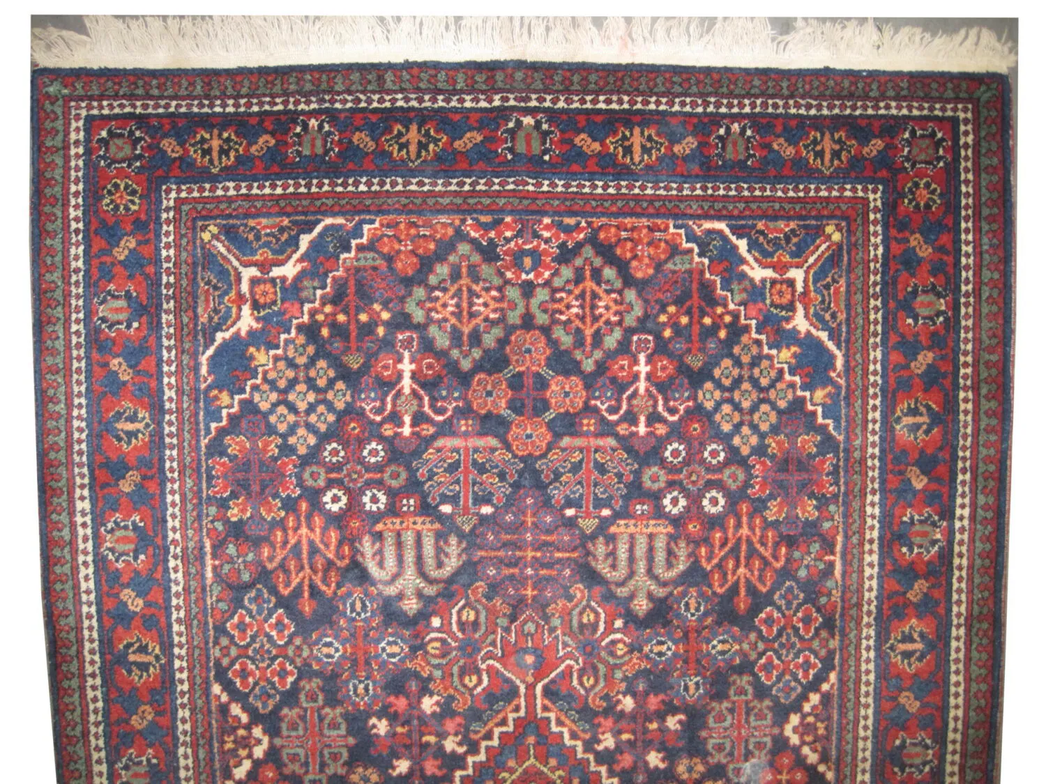 Joshagan Persian - Image 2