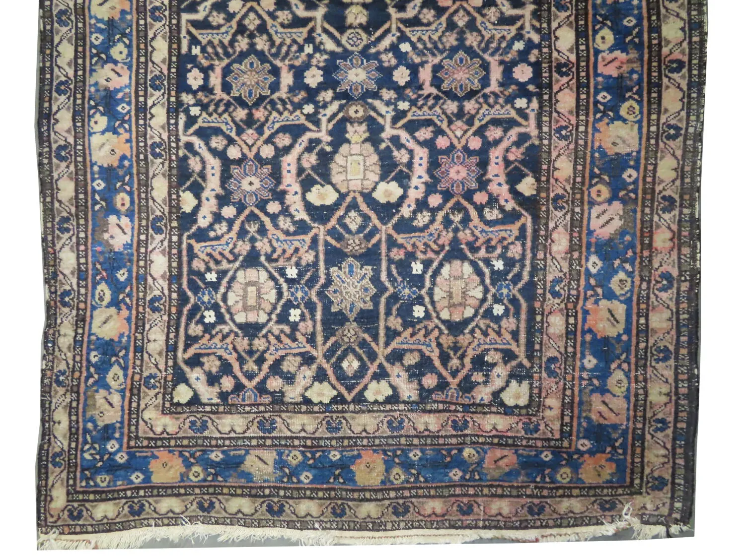 Tabriz Persian - Image 2