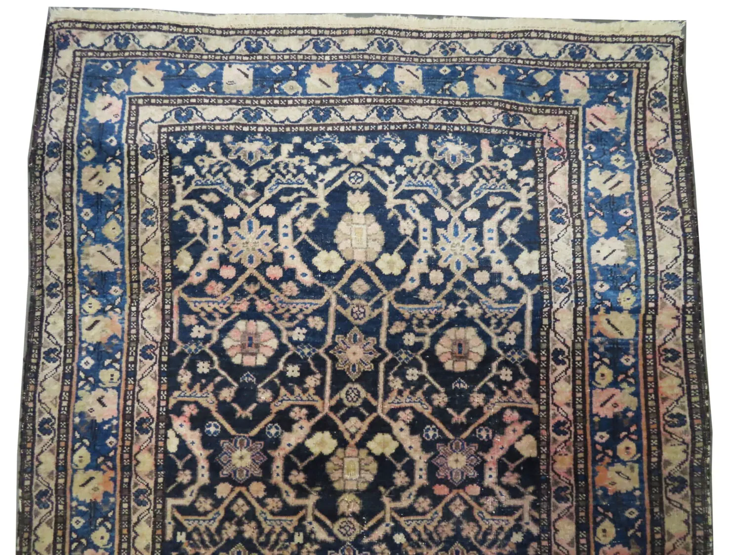 Tabriz Persian - Image 3