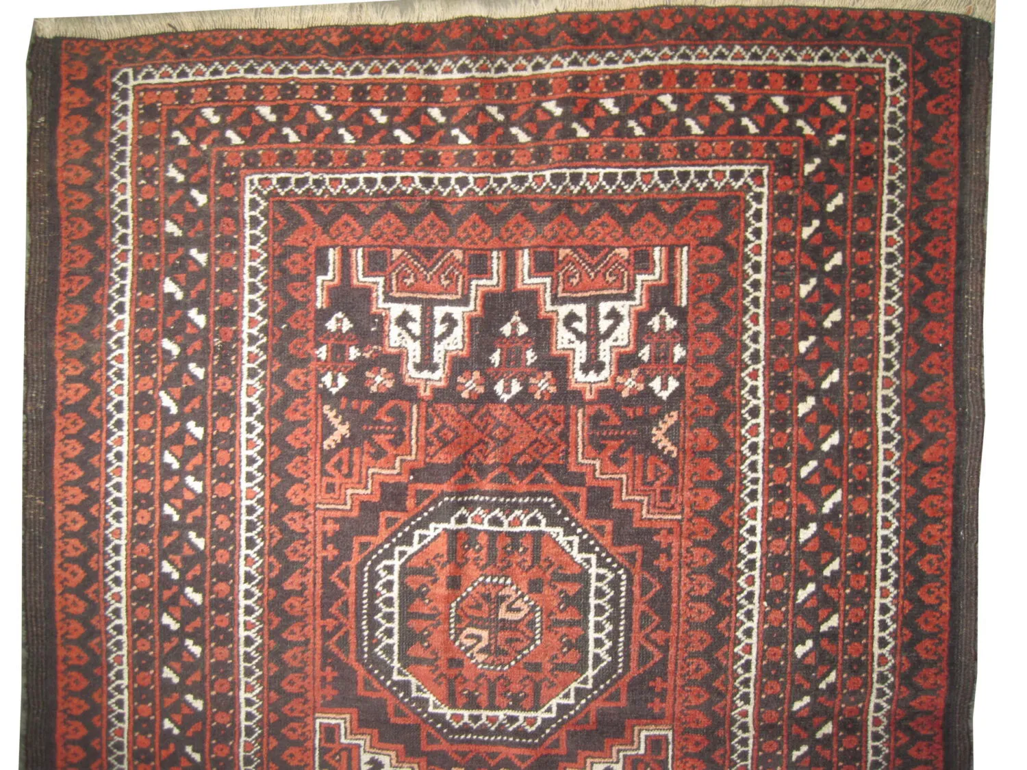 Belutsch Persian - Image 2