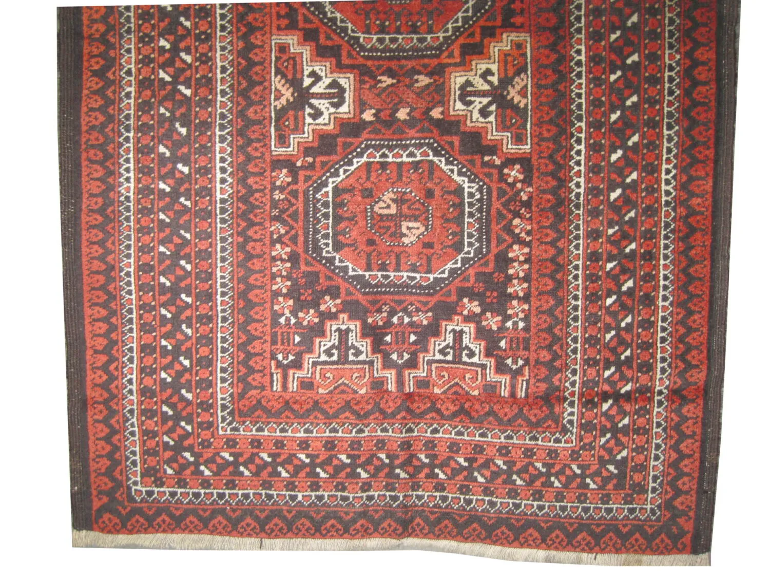 Belutsch Persian - Image 3