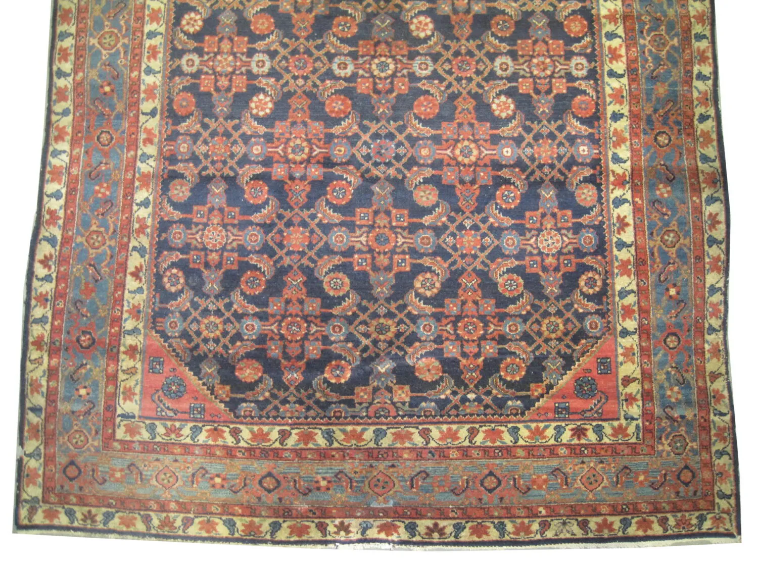 Enjilaz Persian - Image 2