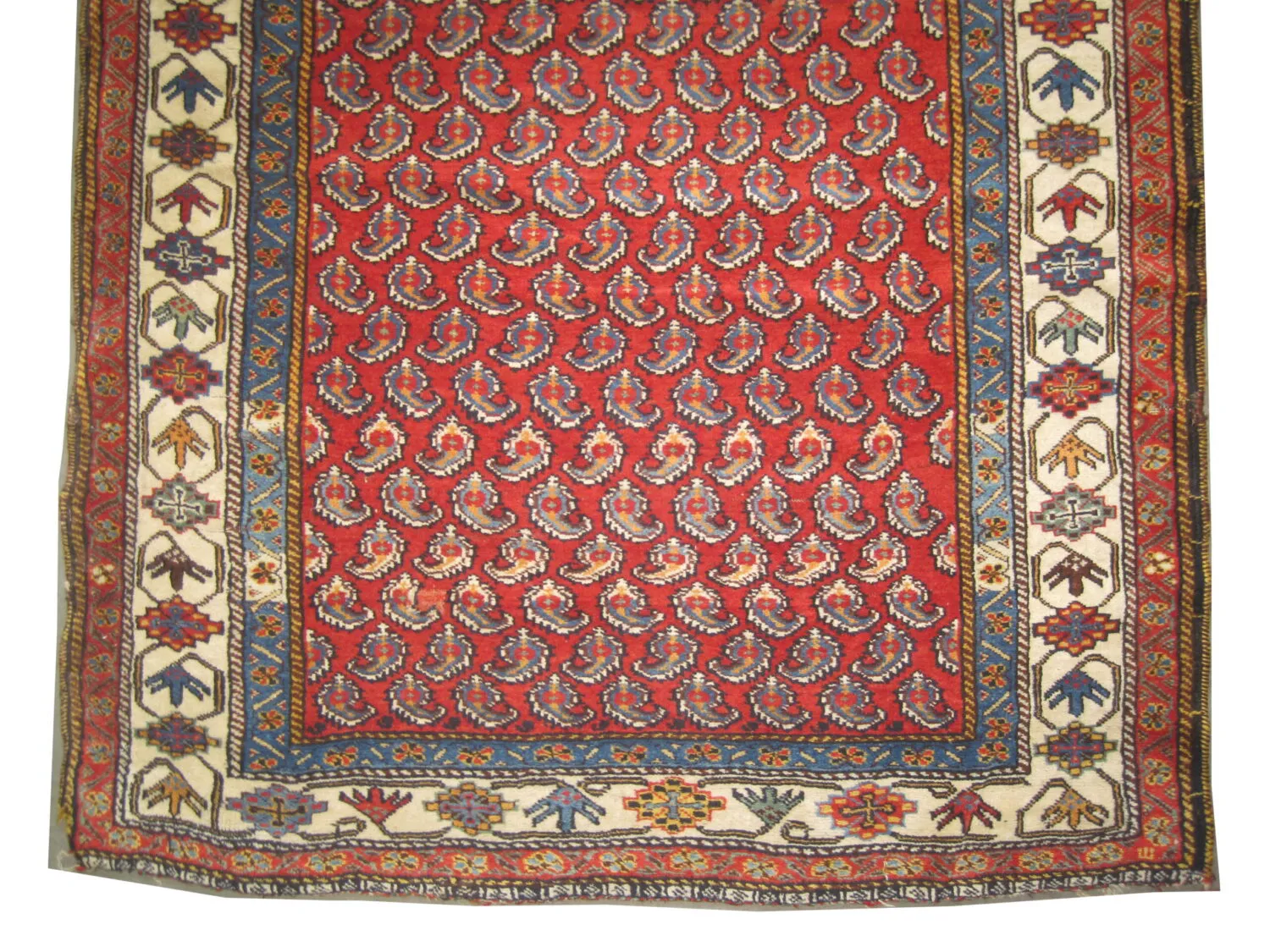 Qashqai Persian - Image 5