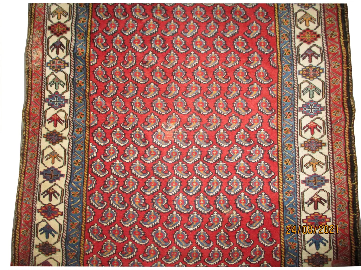 Qashqai Persian - Image 4