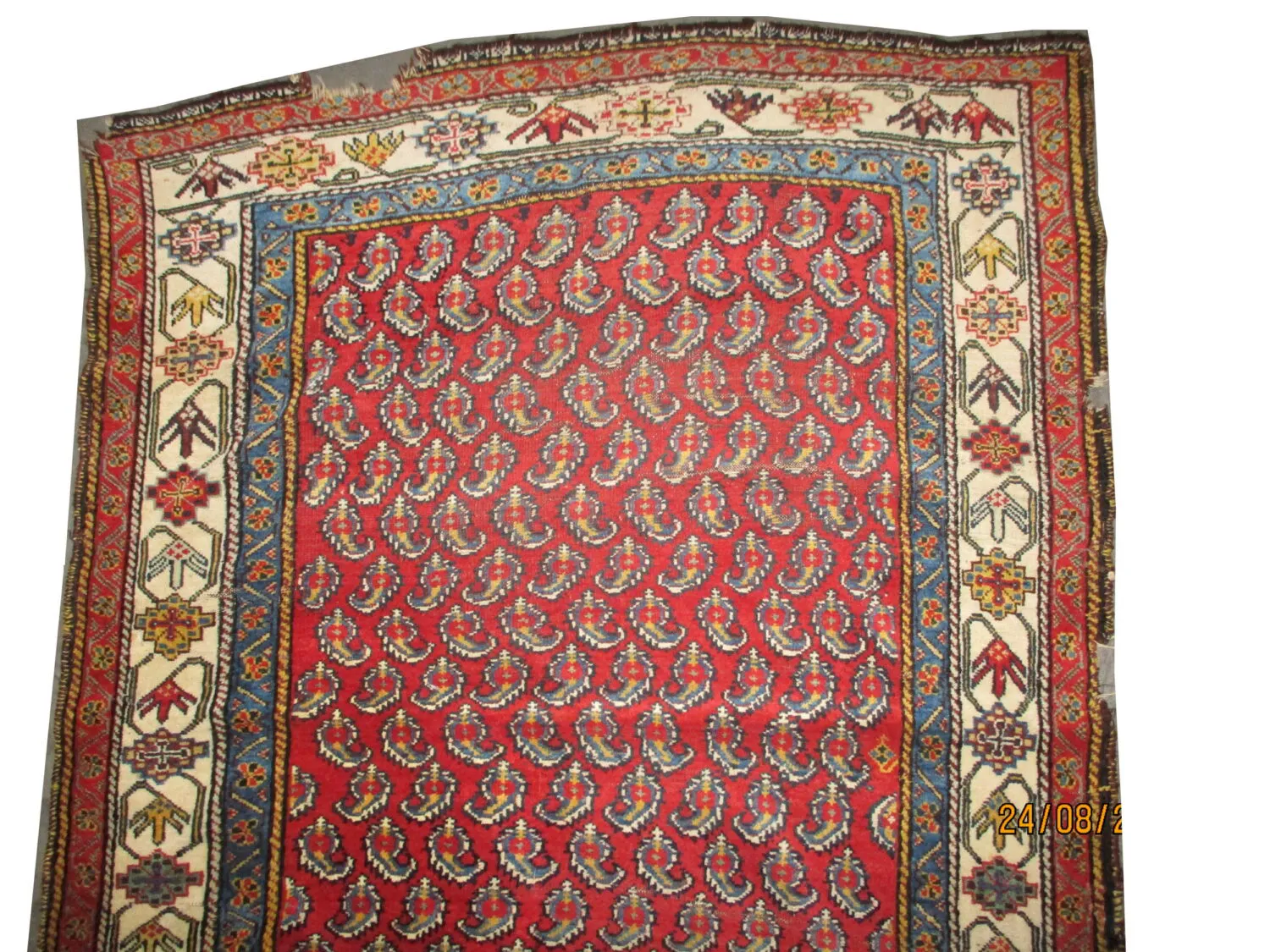 Qashqai Persian - Image 3