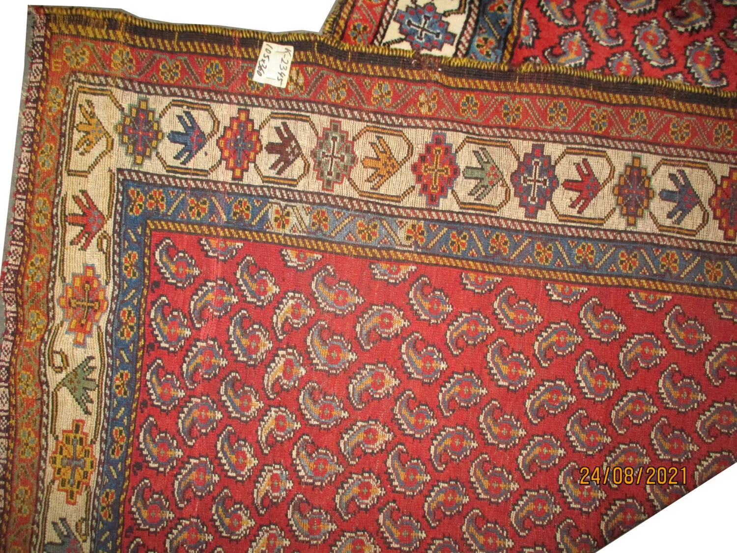 Qashqai Persian - Image 2