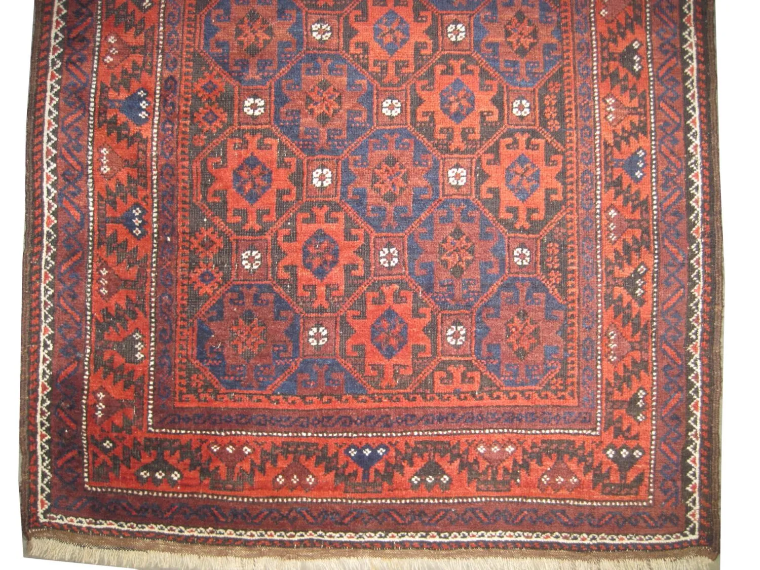 Belutsch Persian - Image 3