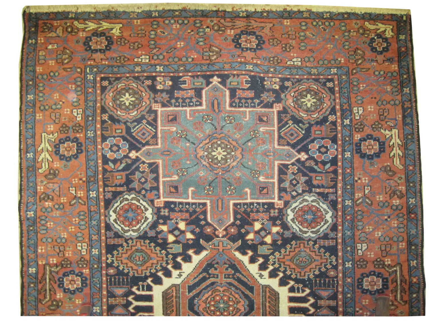 Karadja Persian - Image 2