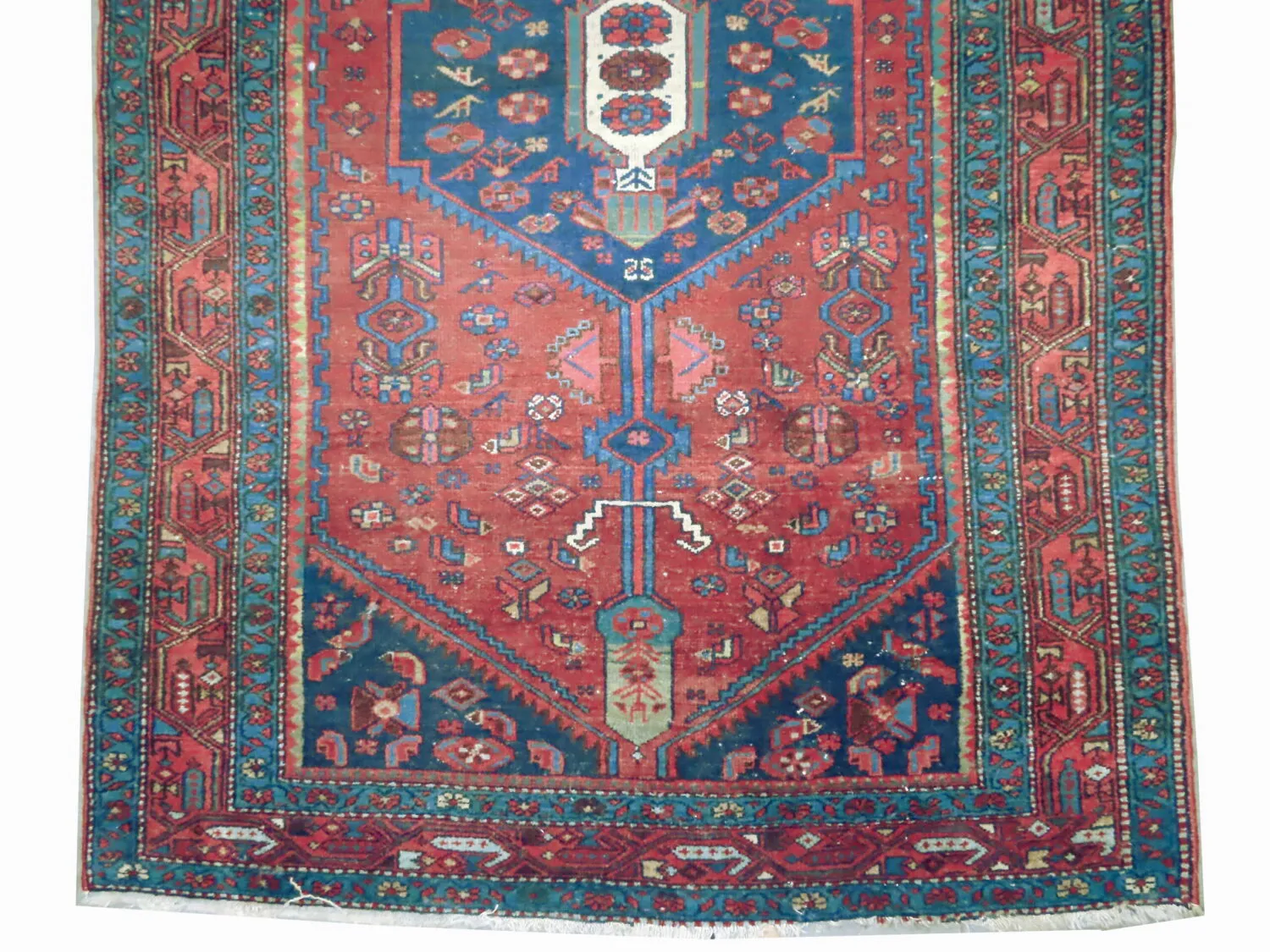 Lilihan Persian - Image 2