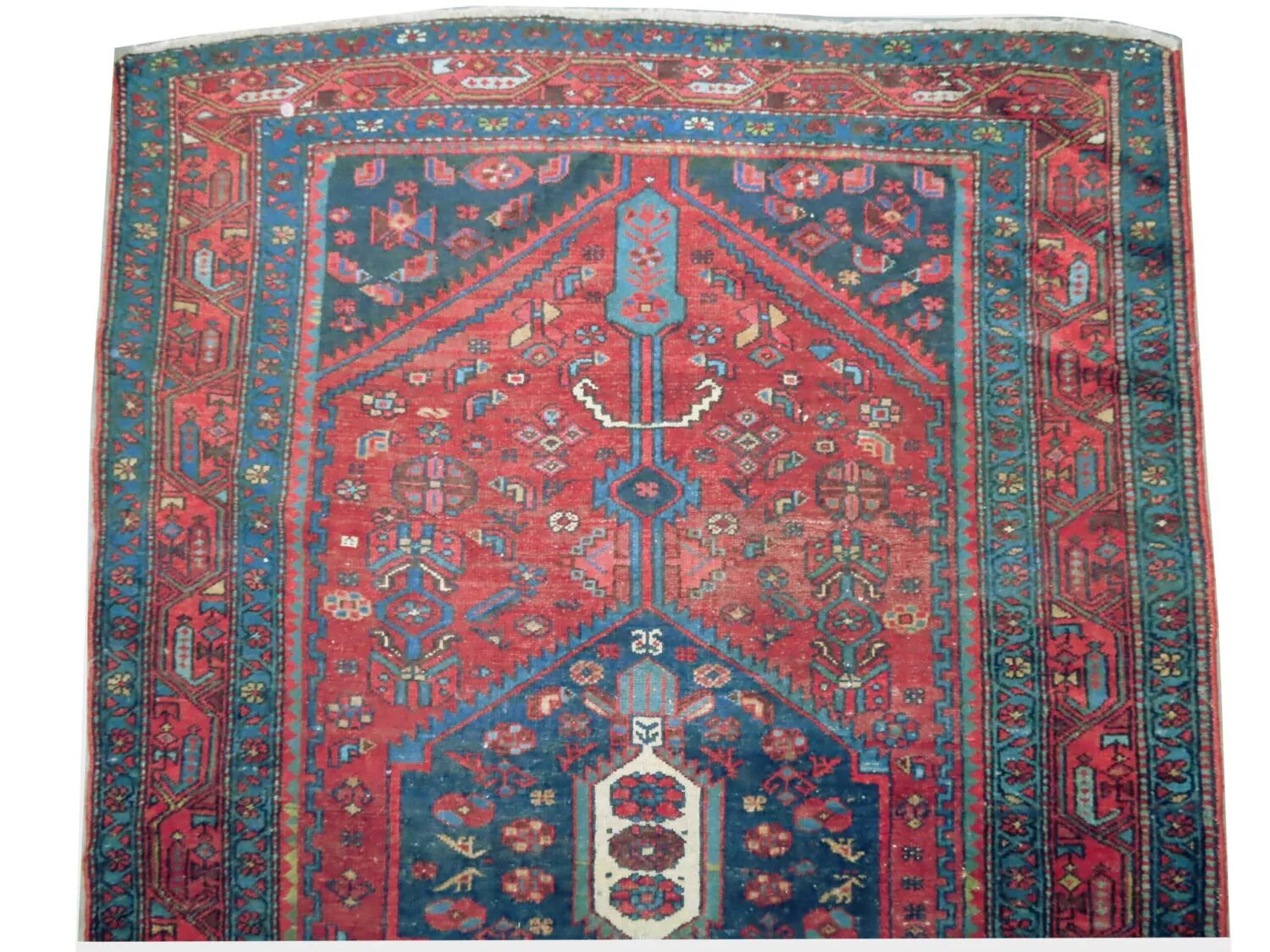 Lilihan Persian - Image 3