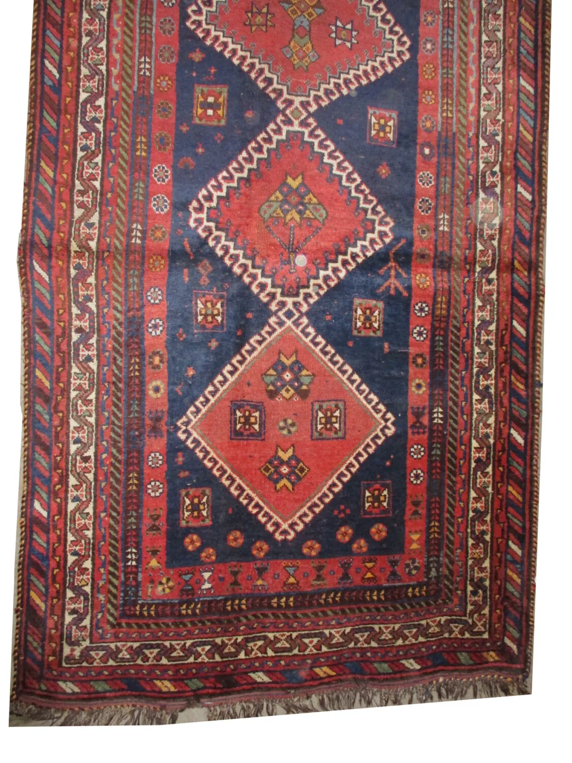 Louri Persian - Image 3