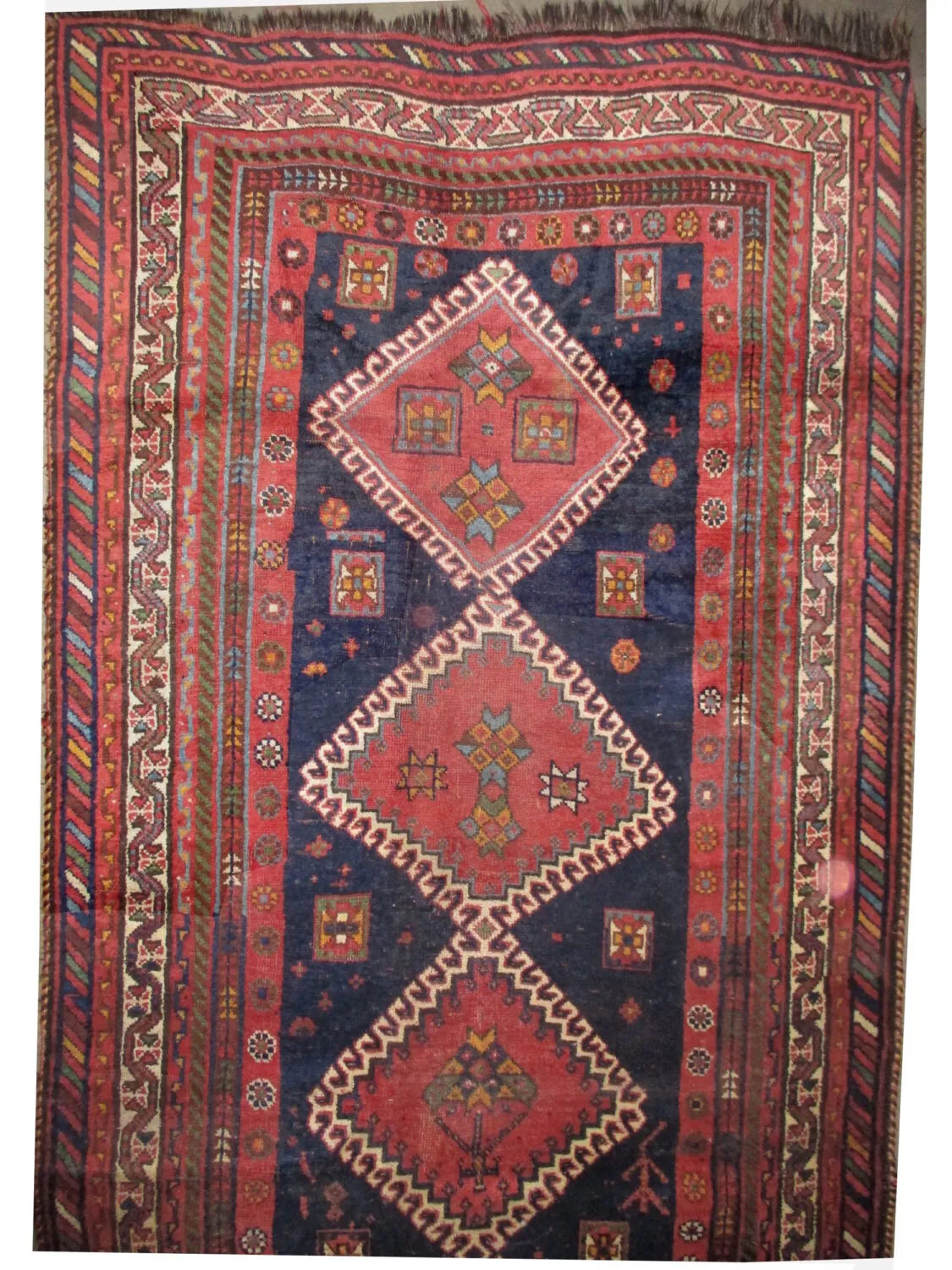 Louri Persian - Image 2