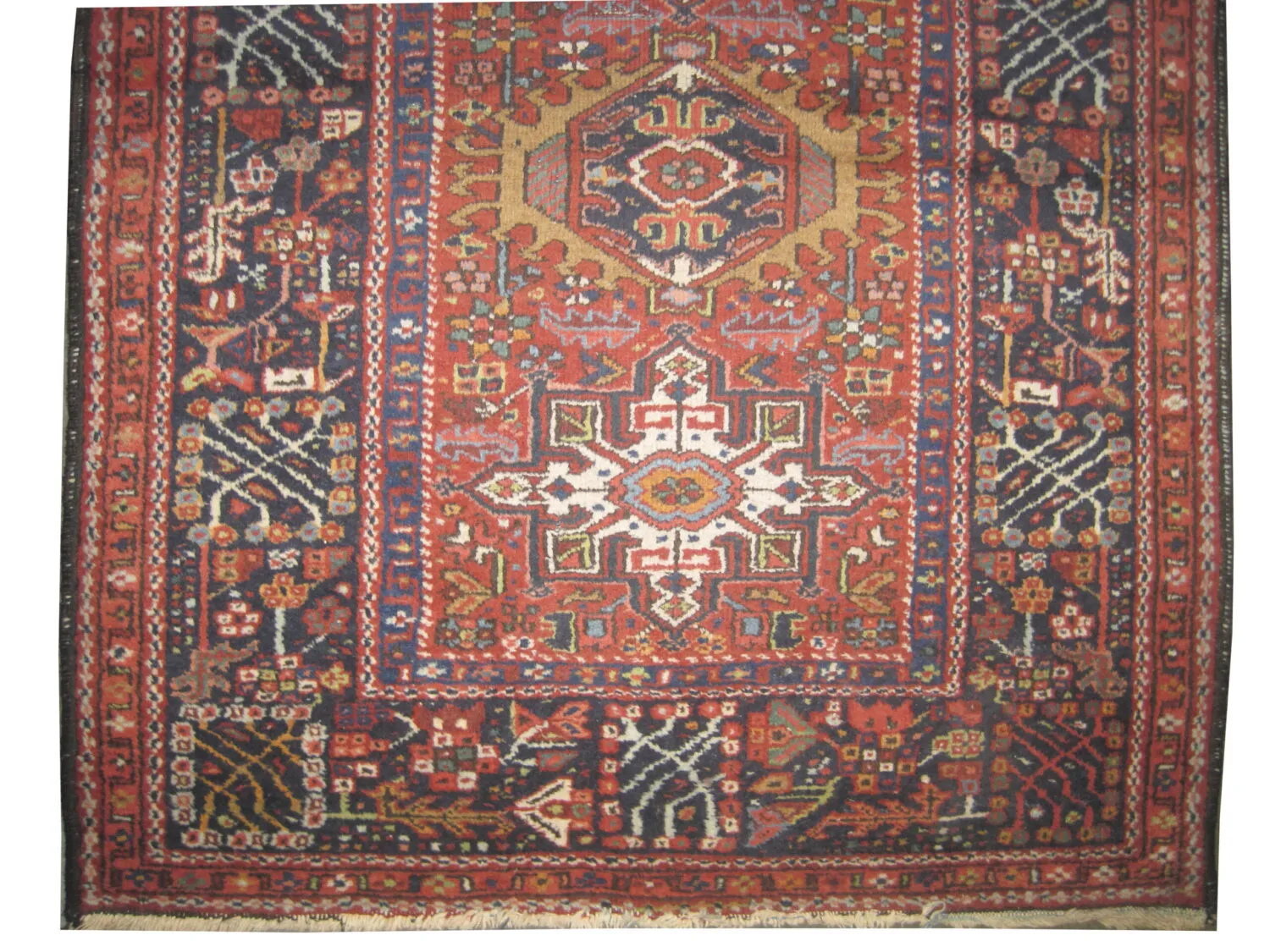 Karadja Persian - Image 2