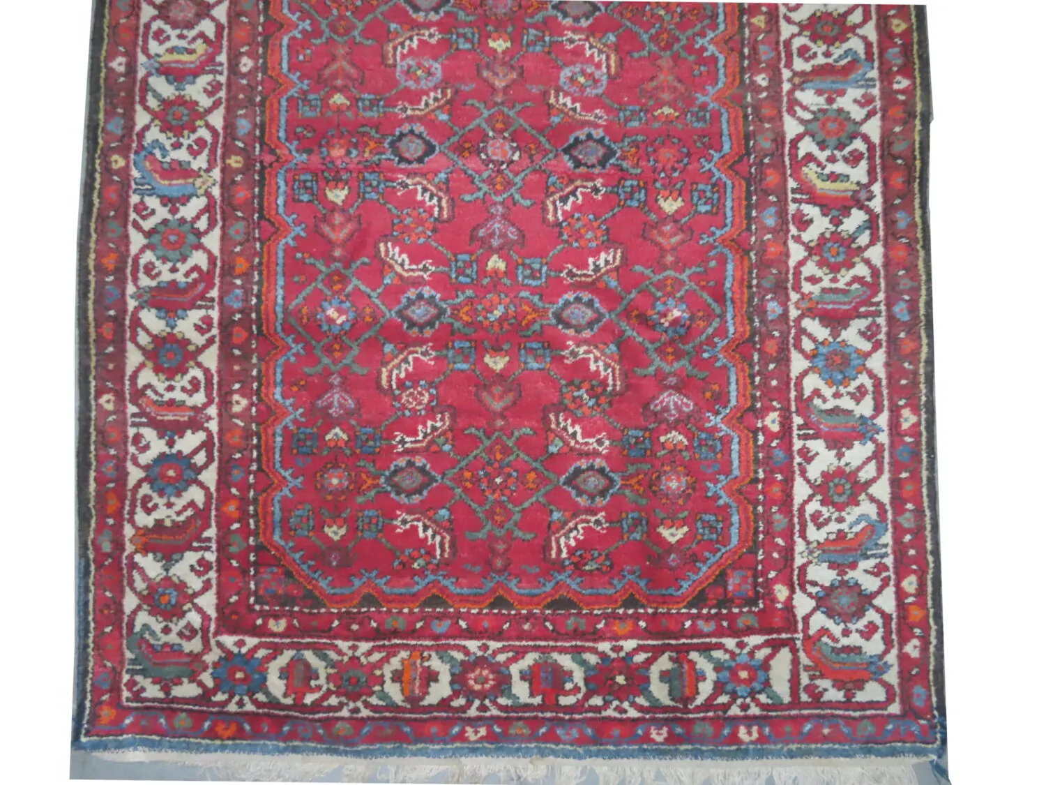 Farahan Persian - Image 3