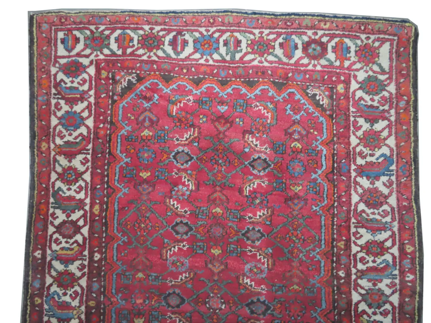 Farahan Persian - Image 2