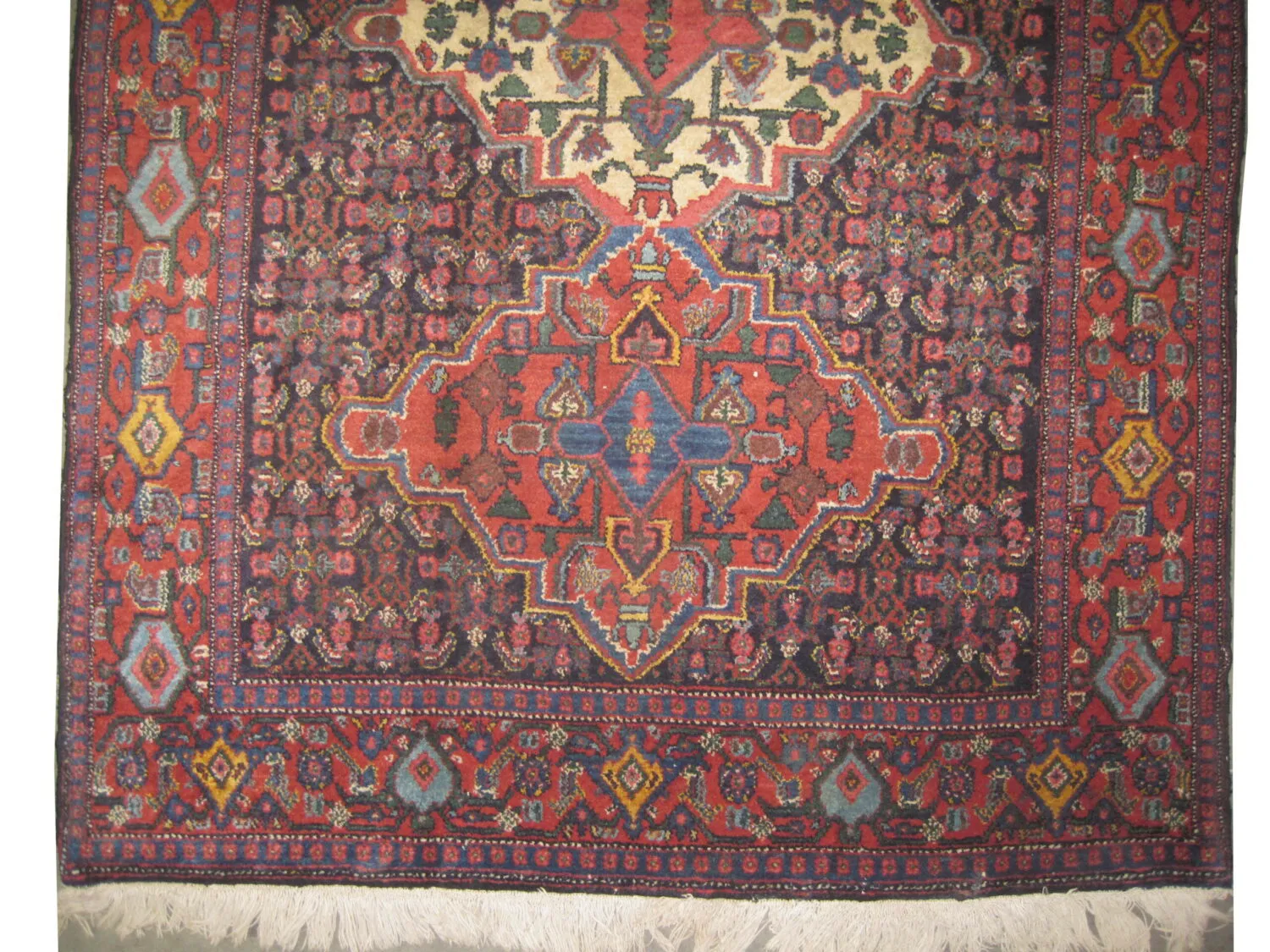 Senneh Persian - Image 3