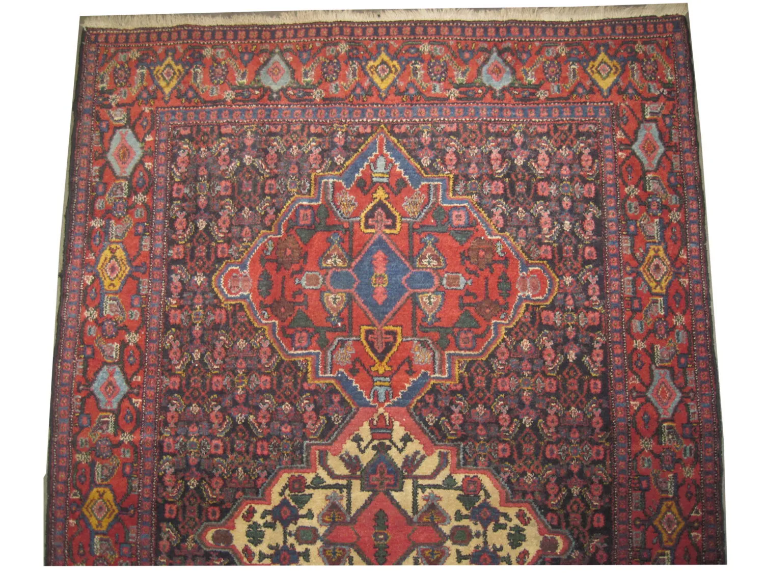 Senneh Persian - Image 2