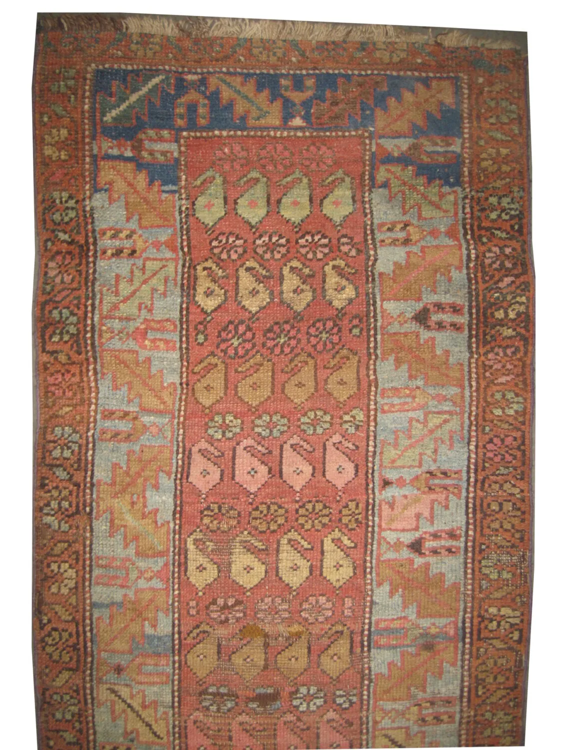 Serapi Heriz Persian - Image 2