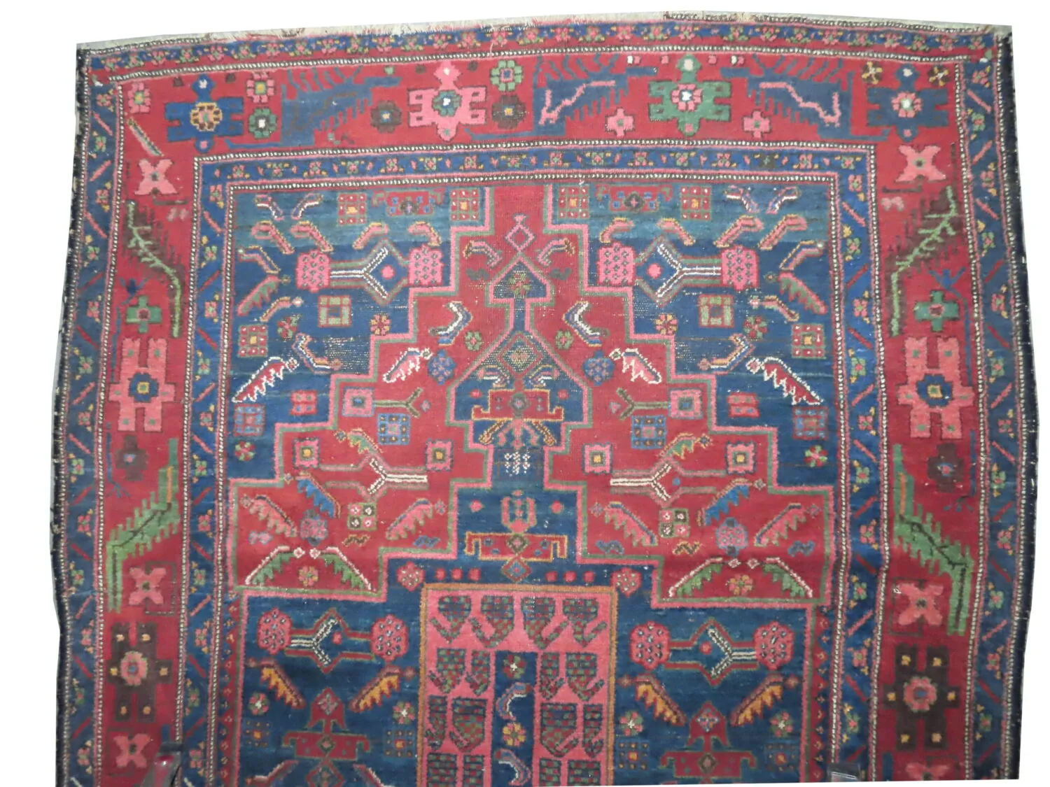 Kalardash Persian - Image 2