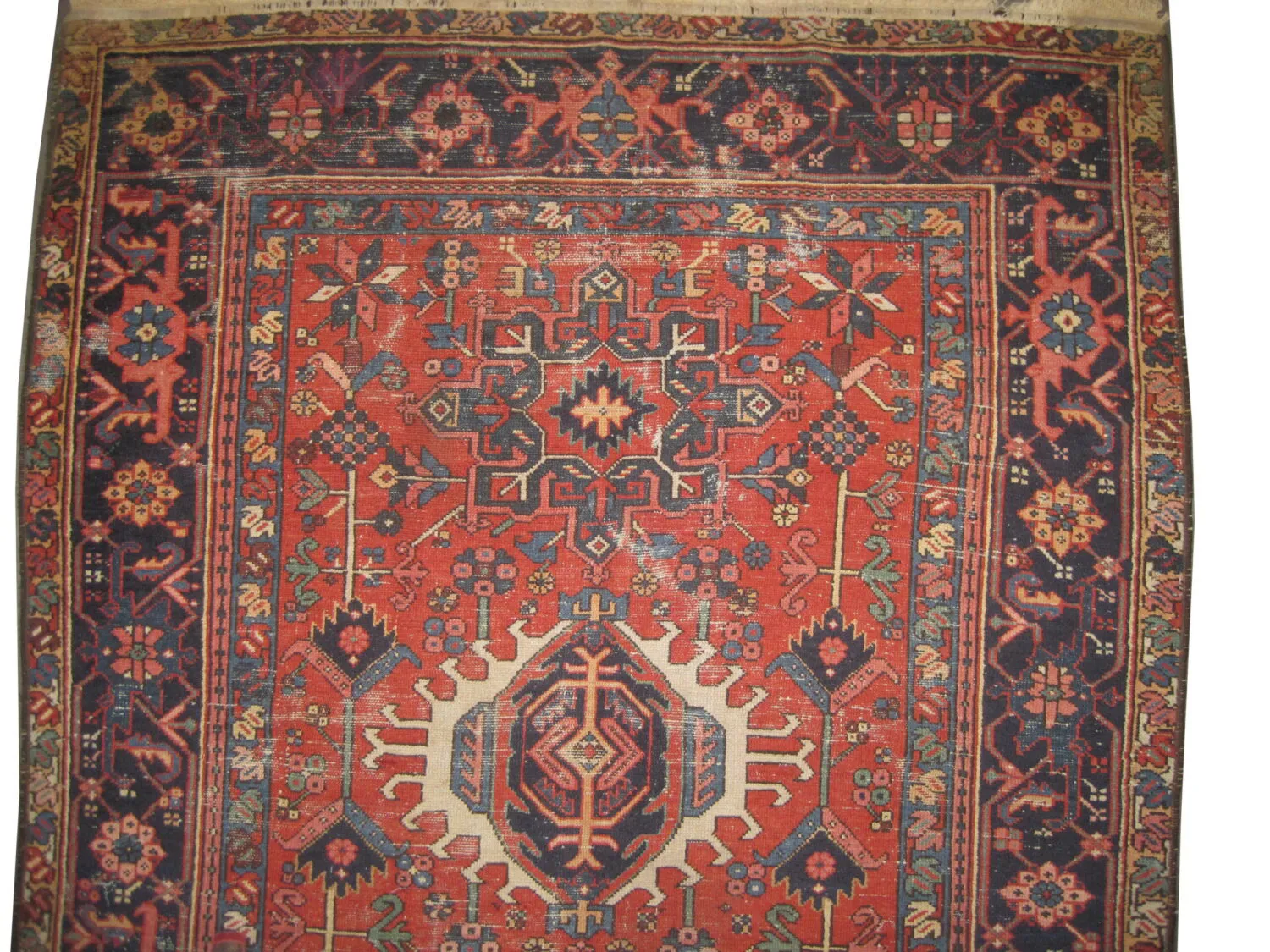 Karadja Persian - Image 2