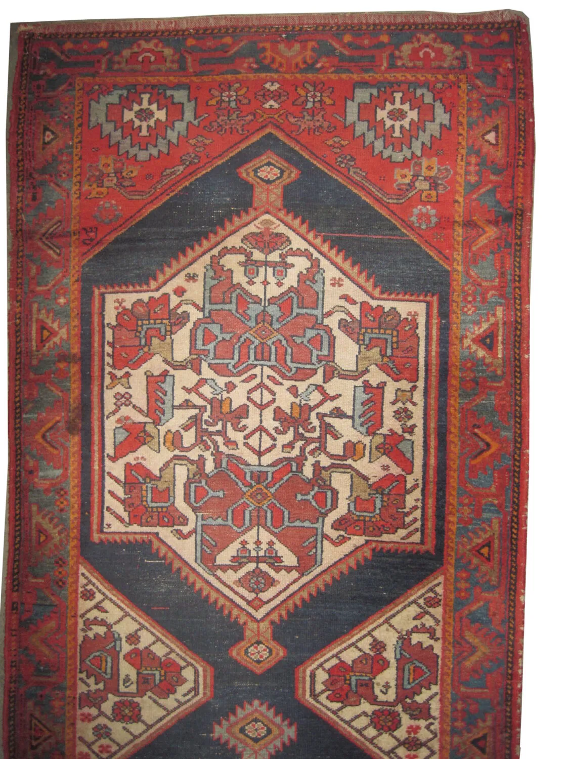 Malaier Persian - Image 2