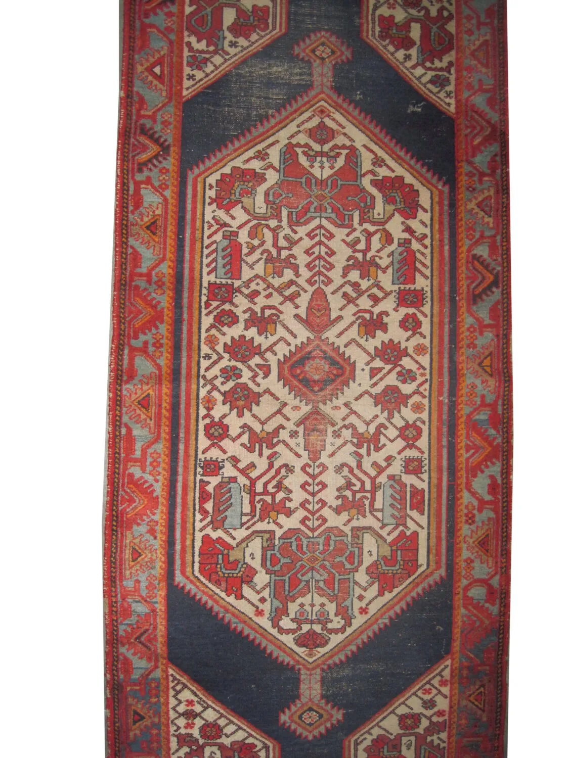Malaier Persian - Image 3
