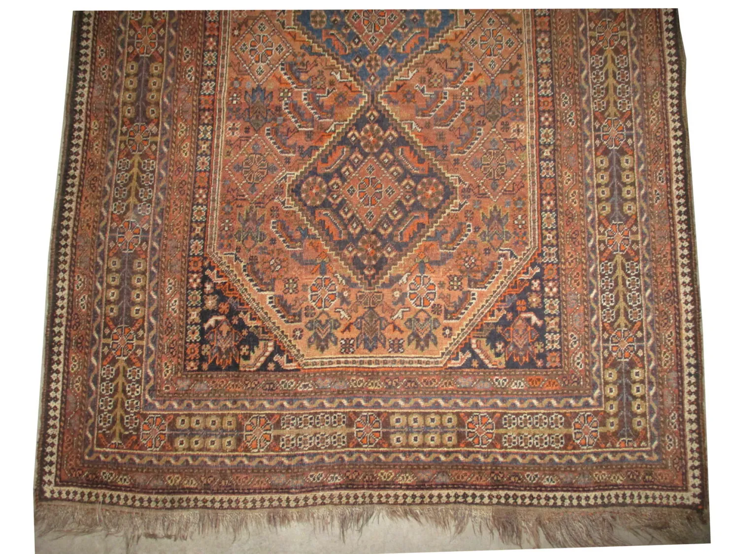 Qashqai Persian - Image 2