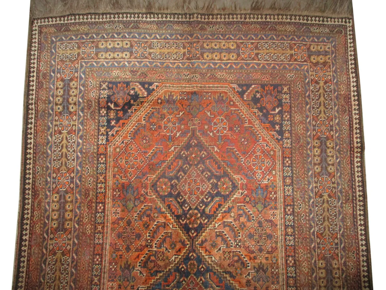 Qashqai Persian - Image 3
