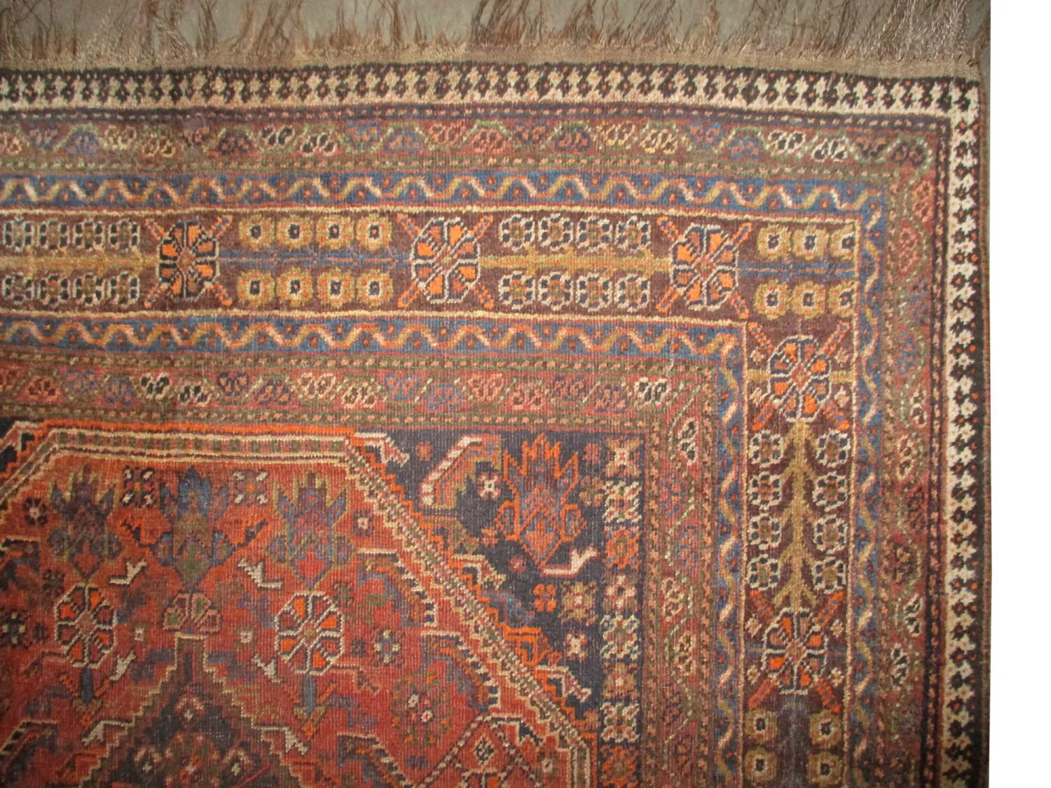 Qashqai Persian - Image 4
