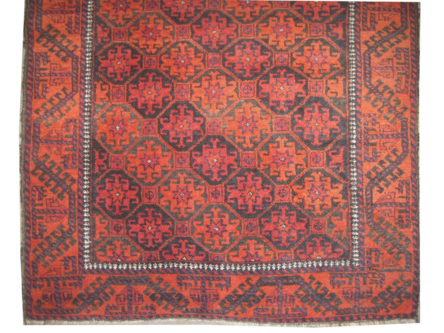 Belutsch Persian - Image 3