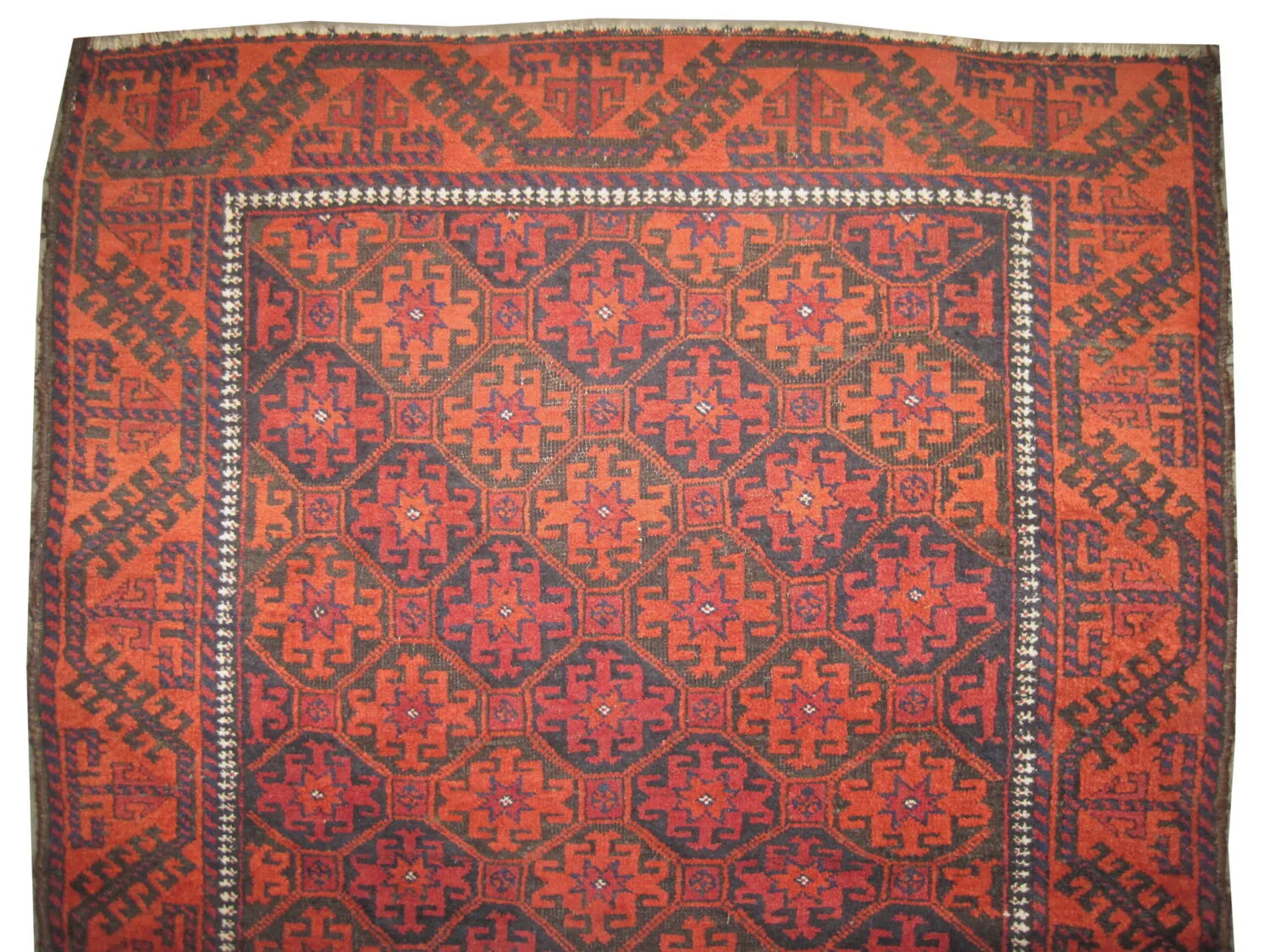 Belutsch Persian - Image 2