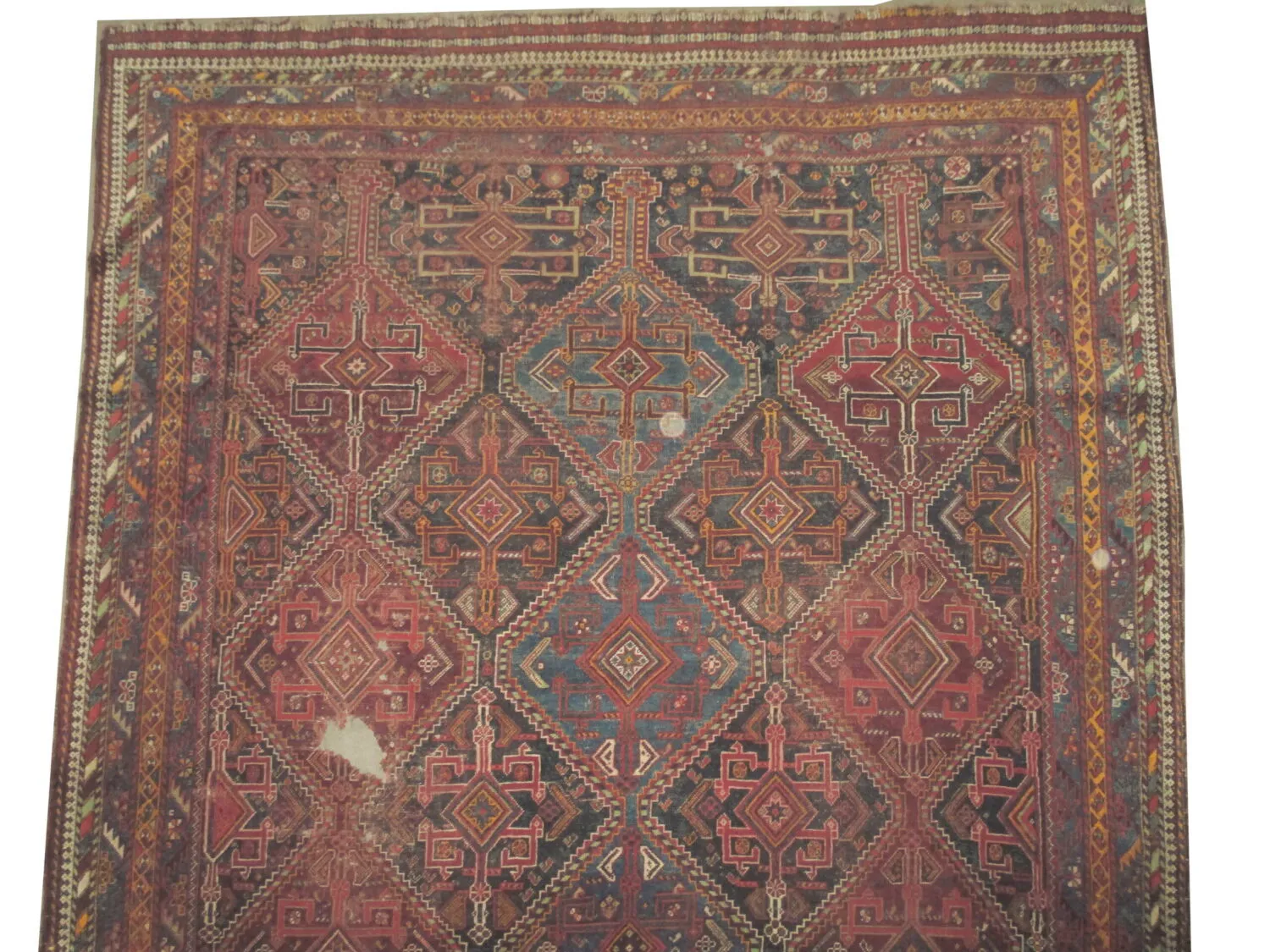 Qashqai Persian - Image 3