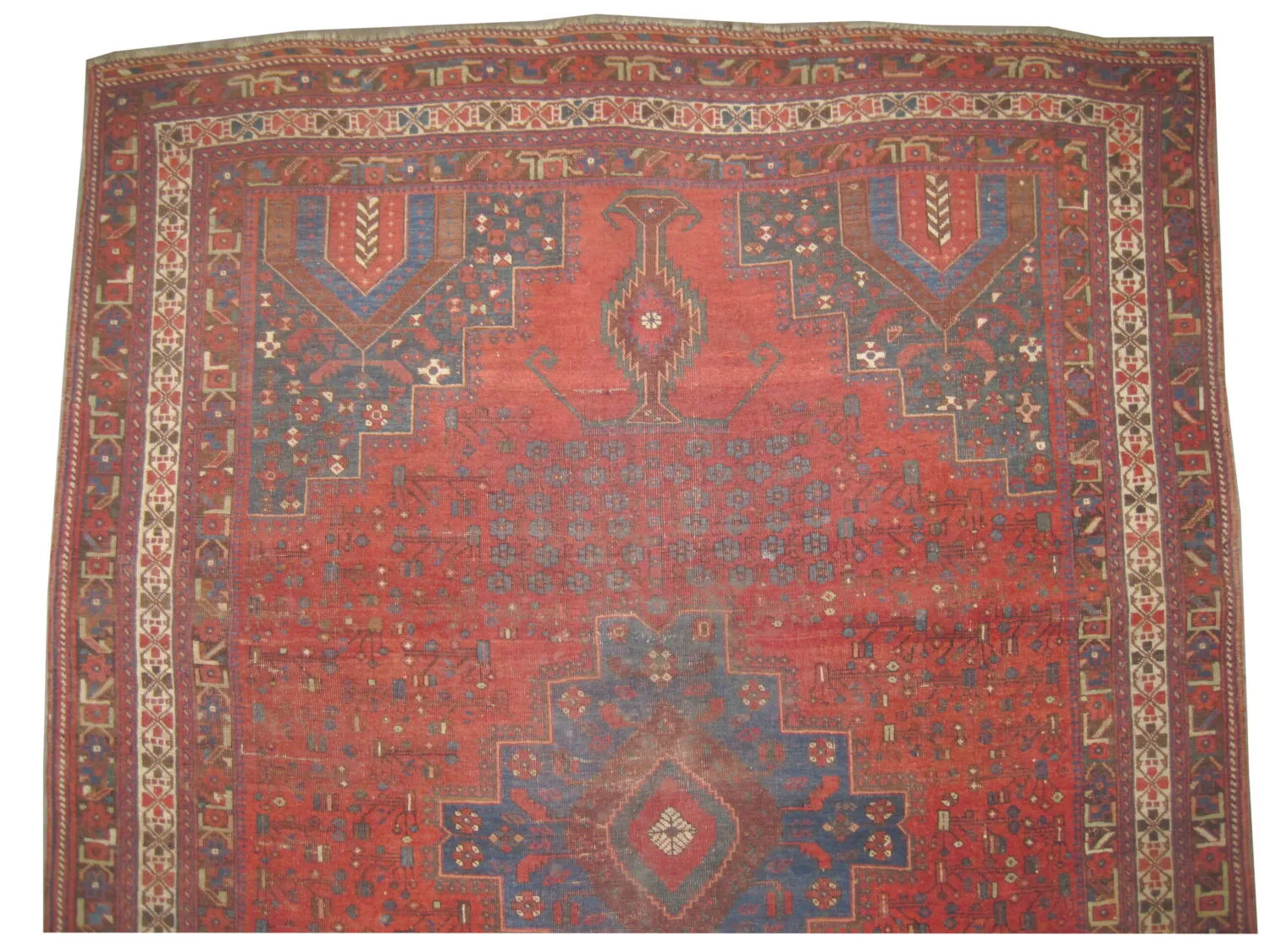 Afshar Persian - Image 3