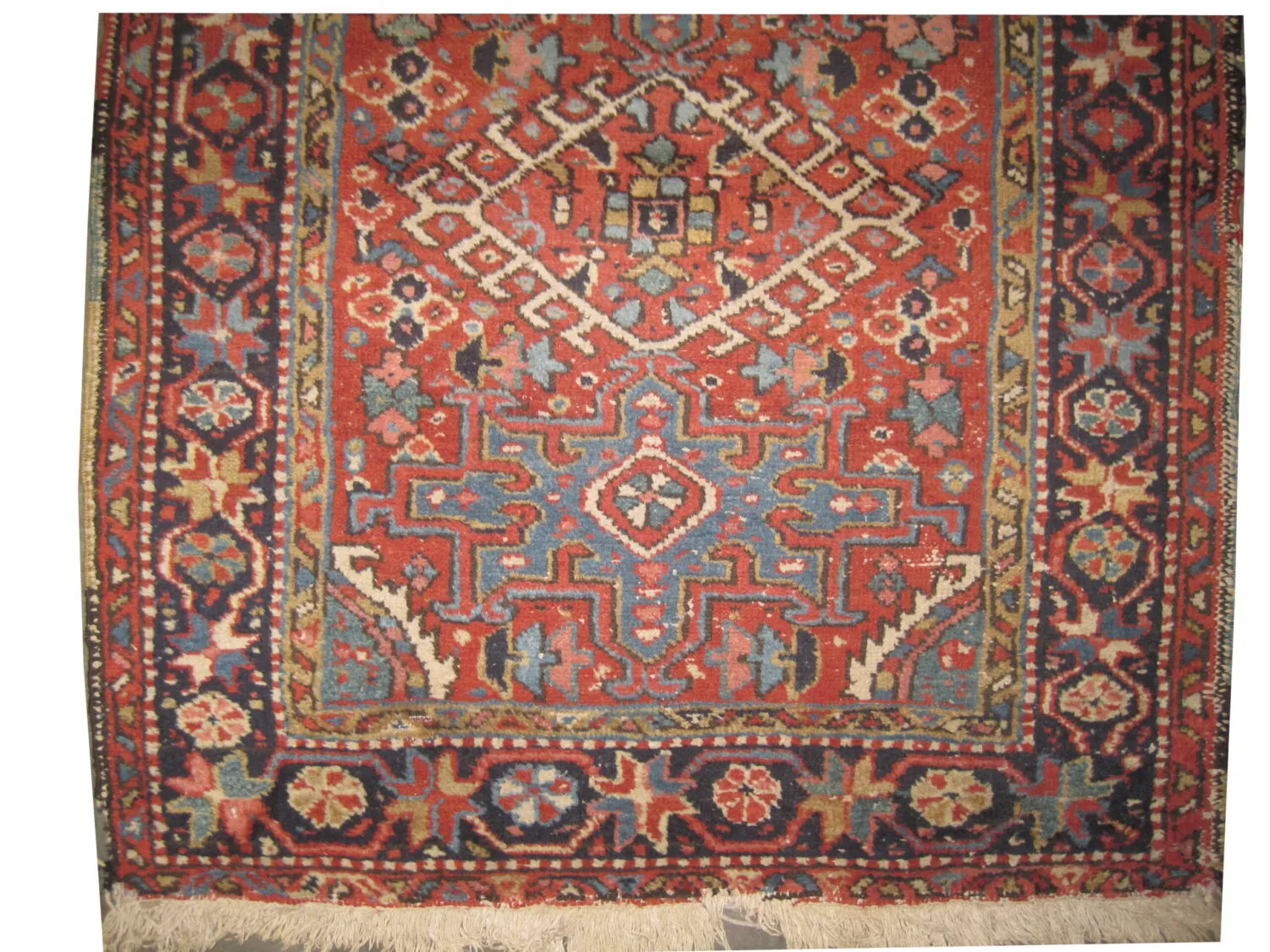 Karadja Persian - Image 2